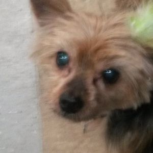 Meet your Posher, Nancy